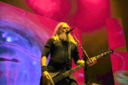 Mastodon photo by @fohphoto Bobby Singh